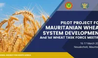 PILOT PROJECT FOR MAURITANIAN WHEAT SYSTEM DEVELOPMENT