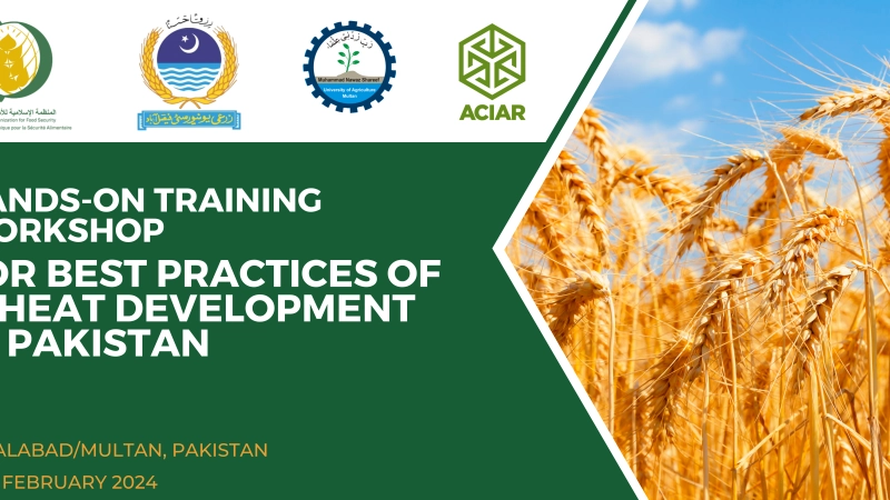 المنظمة الإسلامية للأمن الغذائي تبدأ زيارة رسمية إلى باكستان