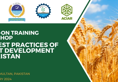 المنظمة الإسلامية للأمن الغذائي تبدأ زيارة رسمية إلى باكستان