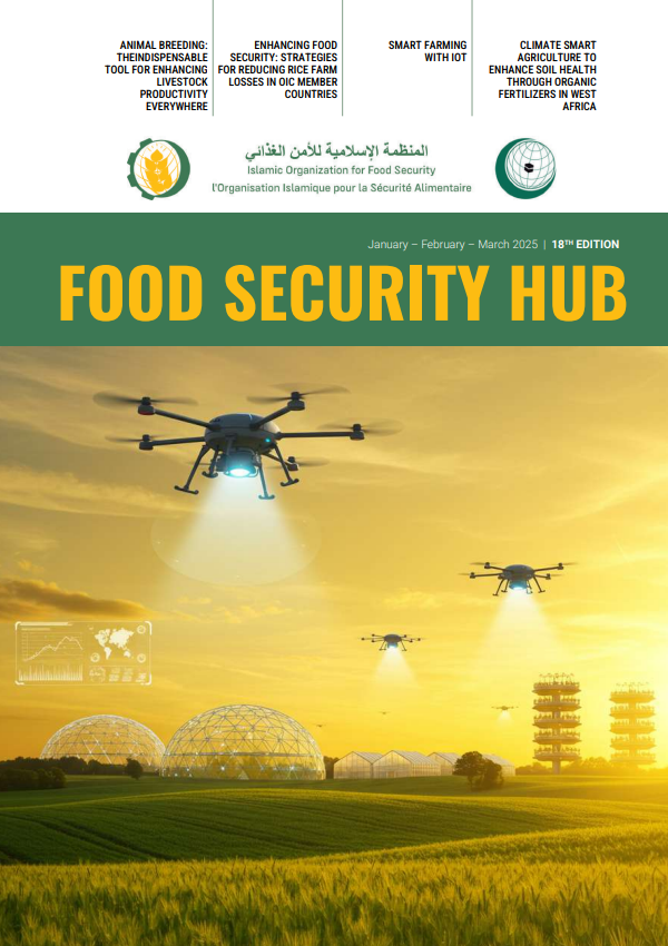 FOOD SECURITY HUB №18