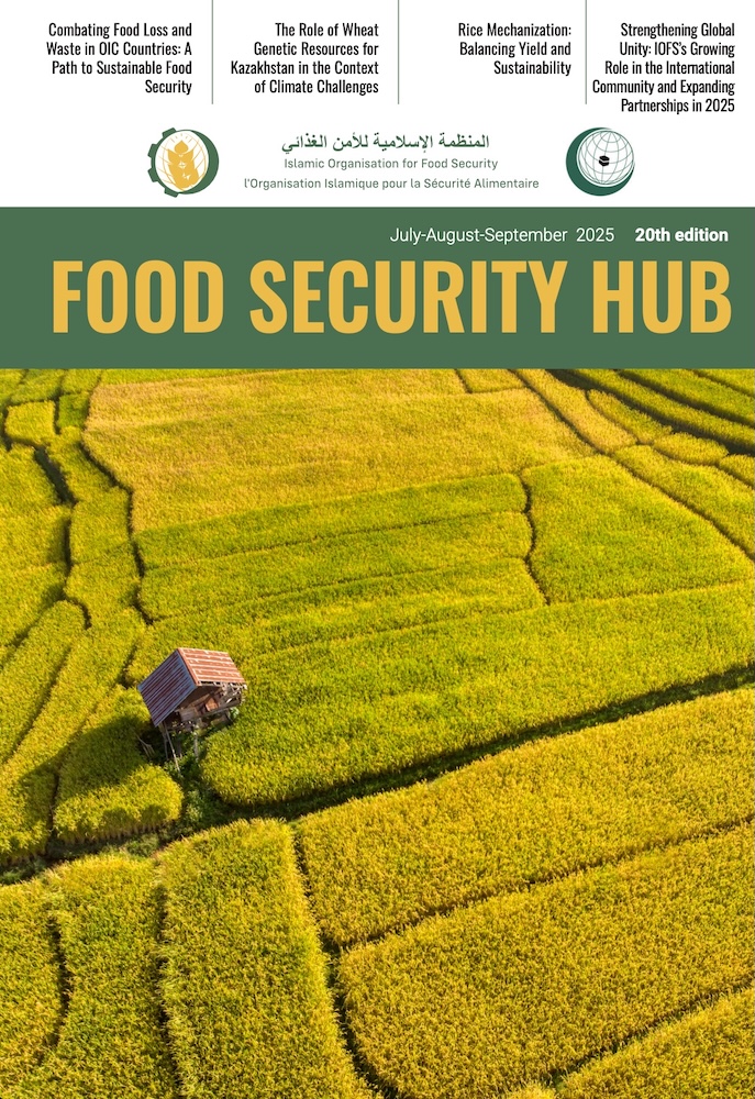 FOOD SECURITY HUB №20