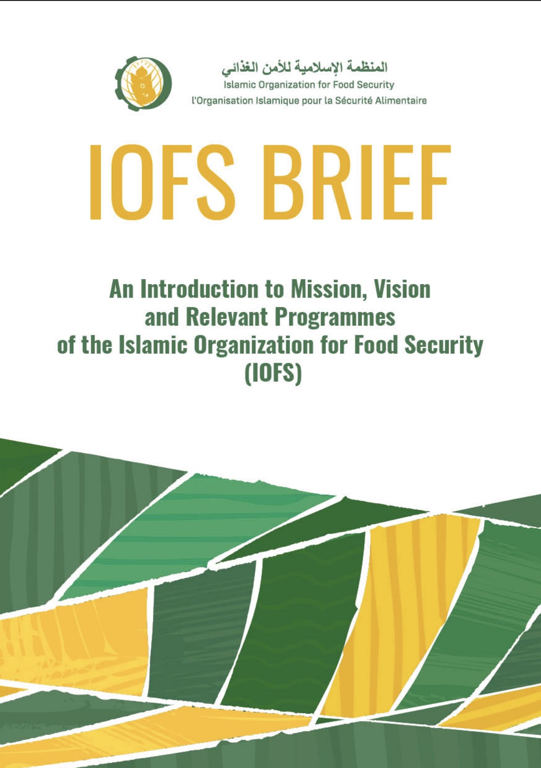 IOFS BRIEF