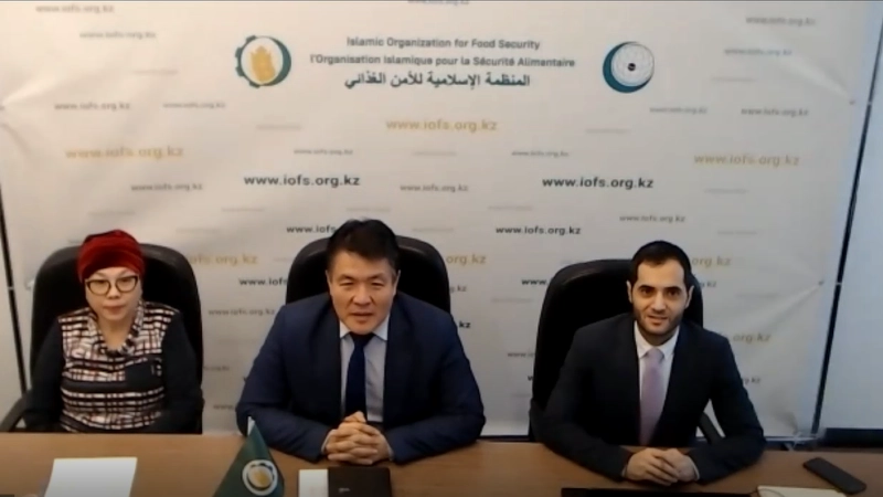 Second meeting of the IOFS Financial Control Committee