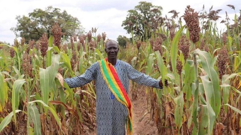 Africa RISING: Technology parks herald a new beginning in Mali’s farms