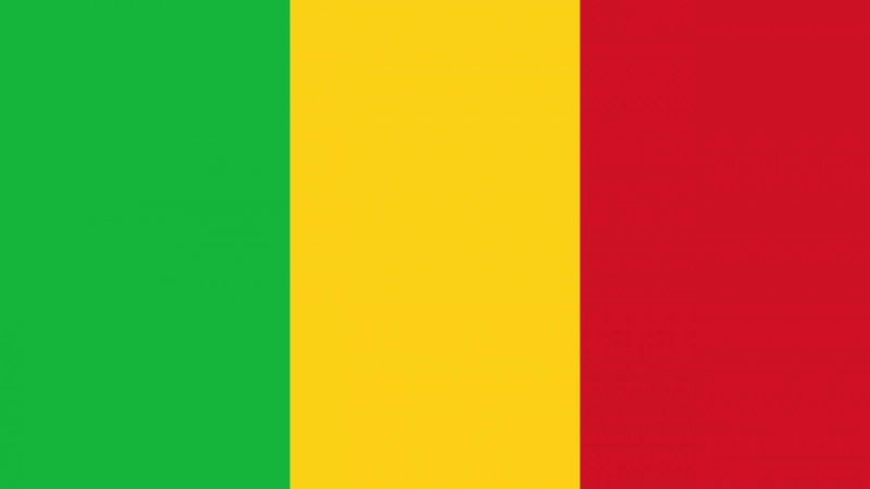 Le Mali ratifie officiellement le Statut de l'OISA