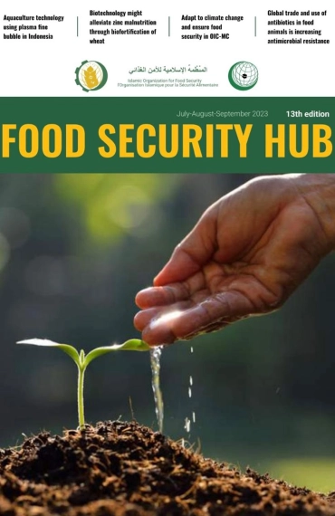 'FOOD SECURITY HUB' № 13