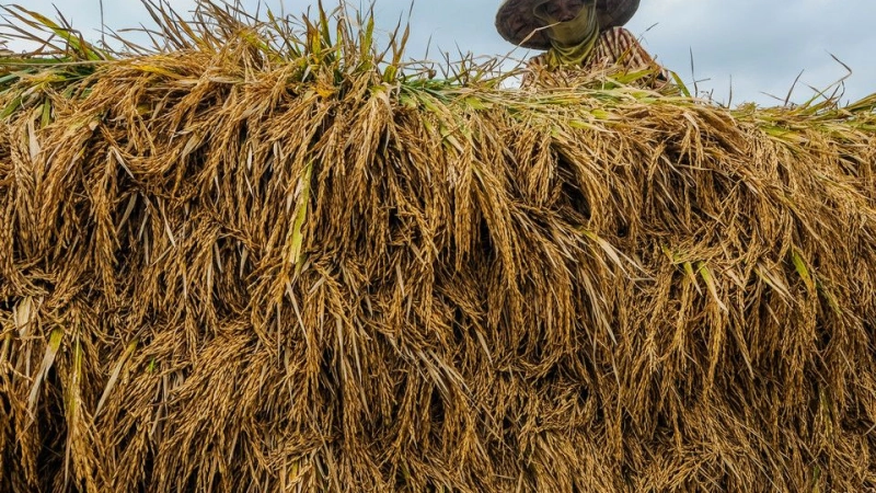 INDONESIA'S FOOD INSECURITY AND ISLAMIC FINANCE