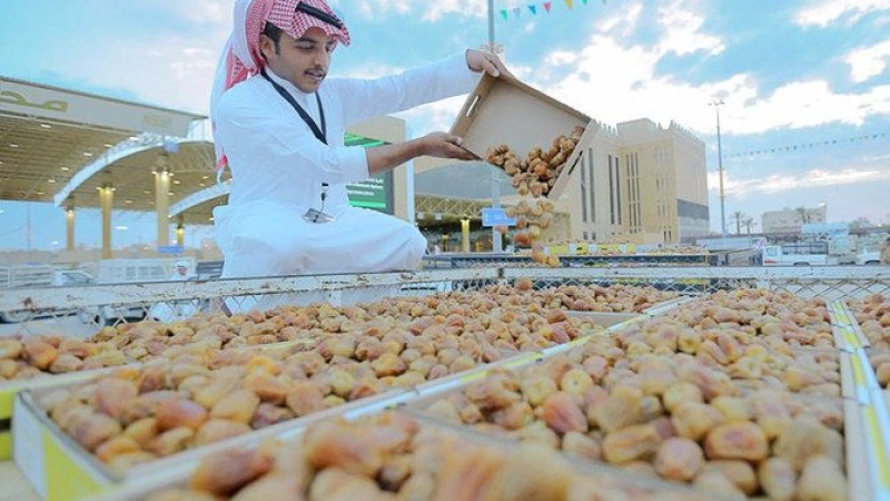 IOFS Delegation Consultations with Nigerien High-Level Authorities and Other International Organizations