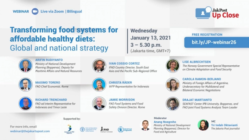 Transforming food systems for affordable healthy diets: Global and national strategy