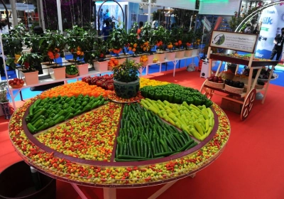 AgriteQ conference to present 60 research papers on food security