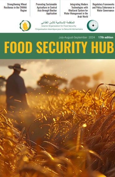 Food Security Hub №17