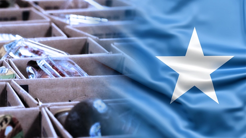 L'OISA cherche à coordonner l'aide humanitaire d'urgence pour la Somalie