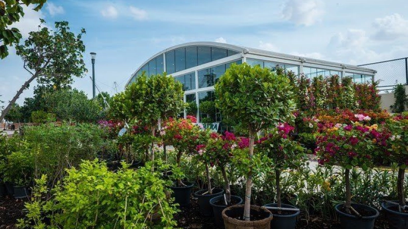Qatar moves from football to farming in post-pandemic food security push