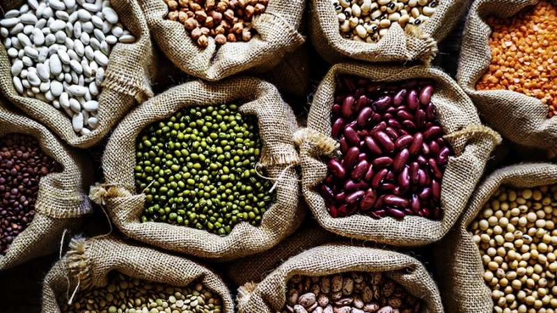 Sécurité alimentaire : processus d'affermissement à travers les zones de transformation