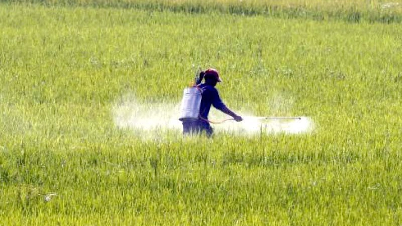 Innovation needed to achieve food security