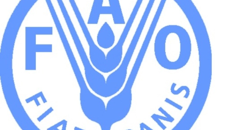 Le gouvernement du Maroc et l'Organisation pour l'alimentation et l'agriculture (FAO) officialisent les plans de la 33ème Conférence régionale pour l'Afrique