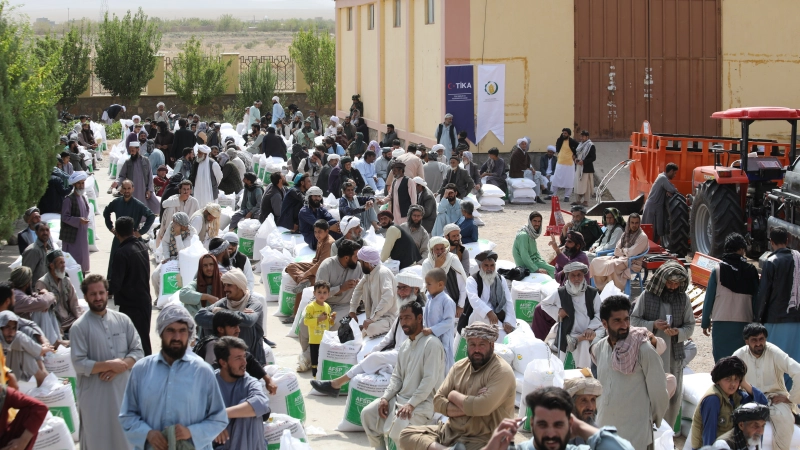 L'IOFS renforce les agriculteurs et revitalise les moyens de subsistance ruraux avec un projet de culture du blé dans l'ouest de l'Afghanistan touché par les tremblements de terre