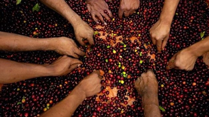 Amélioration de la sécurité alimentaire : l'Égypte augmente ses allocations de 20/21 pour l'exercice pour l'agriculture de 2% (en anglais)