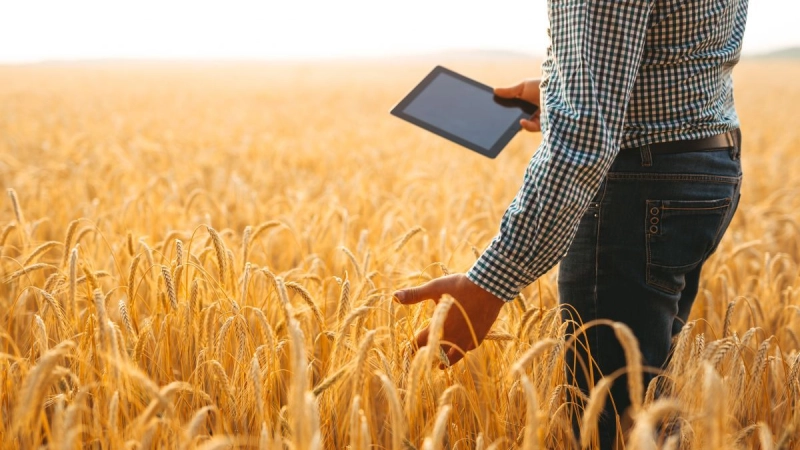 WORKSHOP ON THE DEVELOPMENT OF DATABASES ON AGRICULTURAL STATISTICS