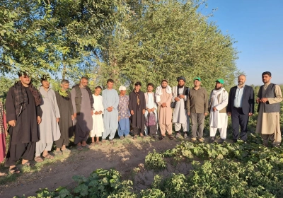 L'IOFS explore les opportunités agricoles dans l'ouest de l'Afghanistan