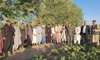 L'IOFS explore les opportunités agricoles dans l'ouest de l'Afghanistan