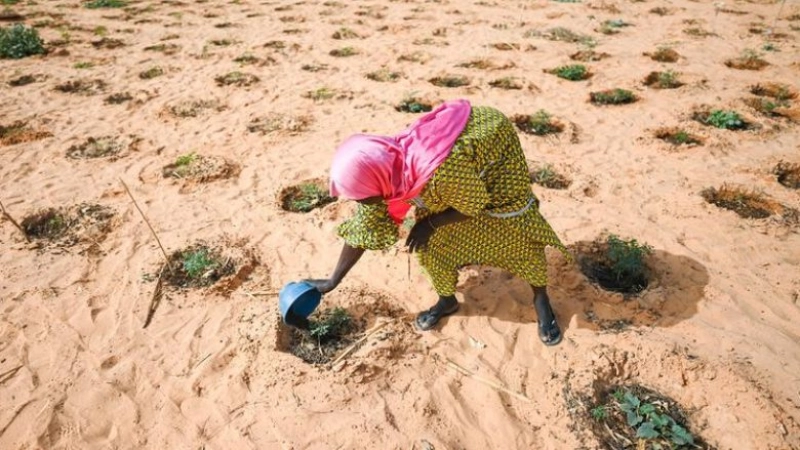 L’IOFS lance un atelier de formation international sur le thème 