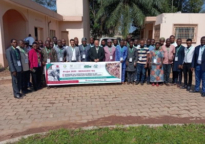 Renforcer la résilience agricole du Bénin grâce à la production d'engrais biologiques