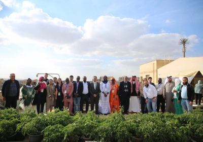 La formation organisée par l'IOFS sur les banques alimentaires se termine au Caire