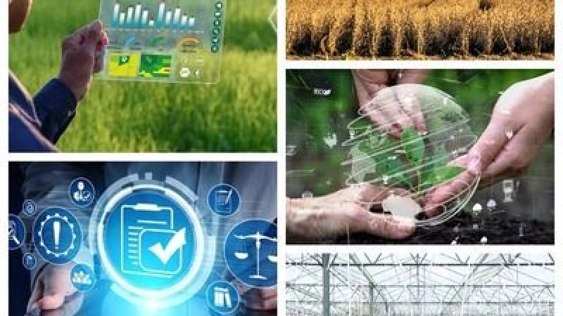 Regional training workshop on strategic planning and policy development in food security