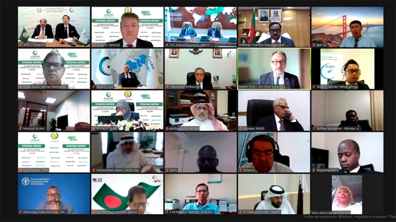 IOFS promotes inter-regional dialogue of south-south cooperation in the framework of Food Systems Summit 2021