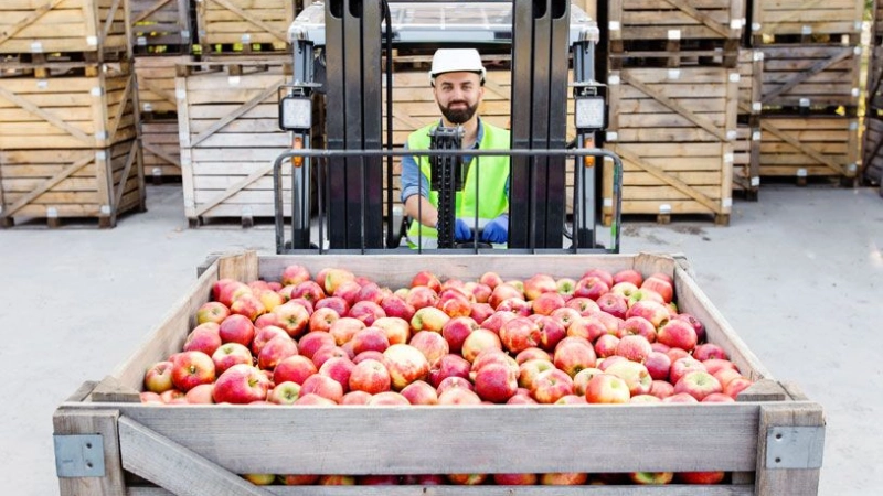 IOFS ICIC Partnership for Afghanistan Emergency Food Support