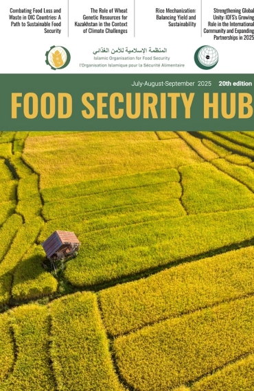 FOOD SECURITY HUB №20