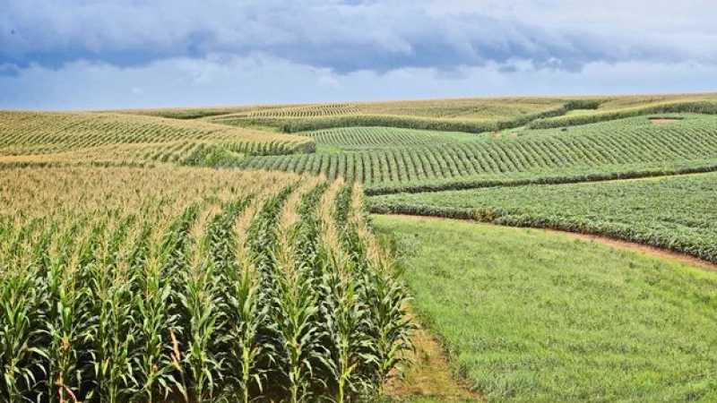 Better prospects for Niger’s farmers
