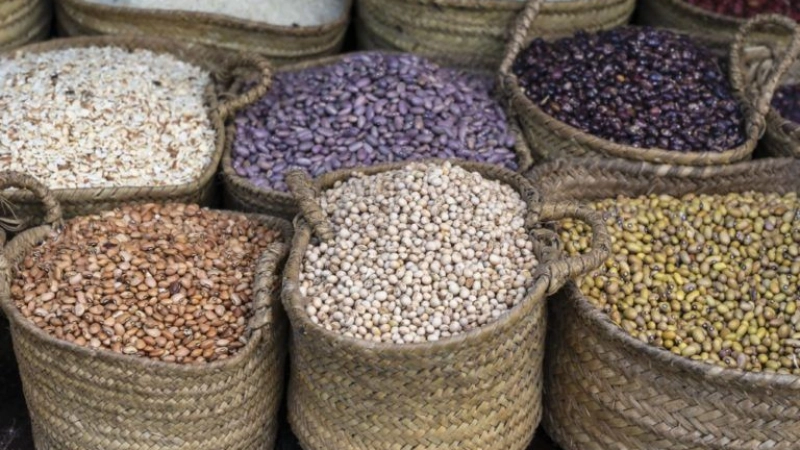 MEET THE FOUNDER: AHMED UMAR ON HOW HIS FINTECH PLATFORM ADDRESSES FOOD SECURITY FOR NIGERIANS