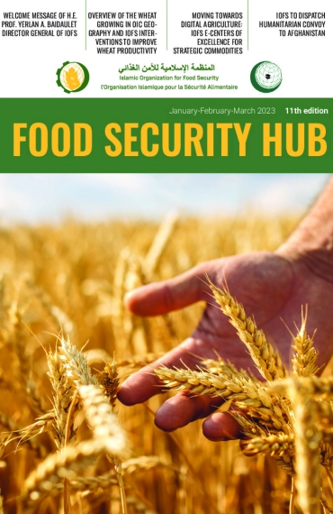 'FOOD SECURITY HUB' №11