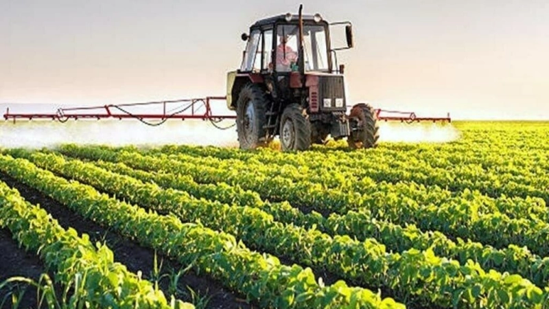 Agriculture Department, CABI Sign MoU for Improving Food Security