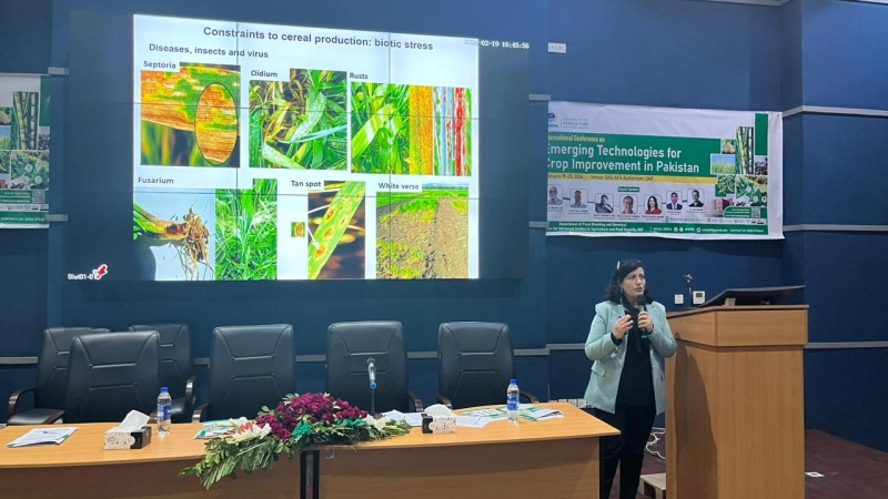 L'Organisation islamique pour la sécurité alimentaire entame une visite officielle au Pakistan