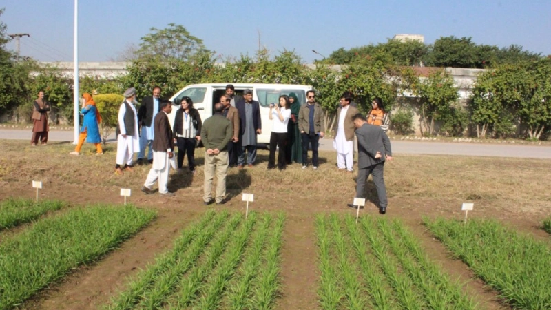 OUTCOMES OF THE IOFS-COMSTECH-PARC THREE-DAY EXPERT MEETING ON «CLIMATE RESILIENT WHEAT CROP IMPROVEMENT FOR FOOD SECURITY»