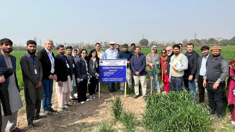 Formation pratique sur les technologies de sélection de blé au Pakistan