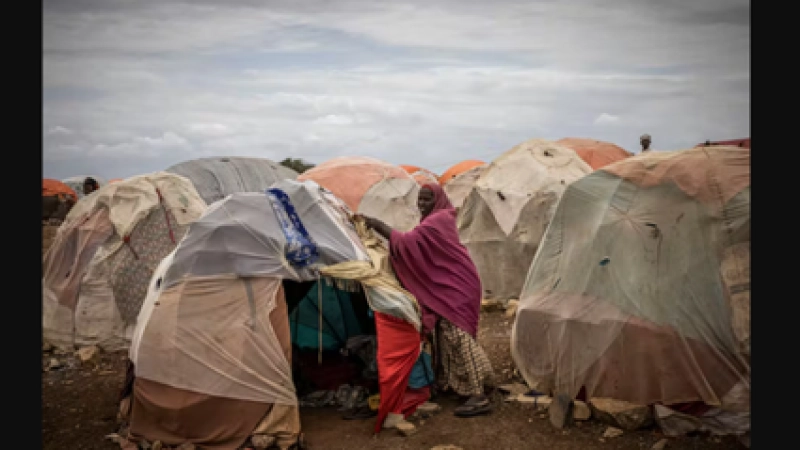 DROUGHTS DON’T NEED TO RESULT IN FAMINE: ETHIOPIA AND SOMALIA SHOW WHAT MAKES THE DIFFERENCE