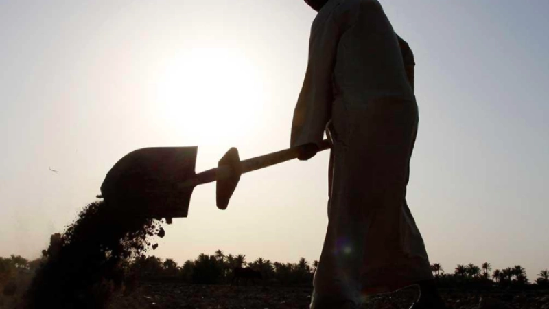 Crise de la gouvernance et insécurité alimentaire en Irak (en anglais)