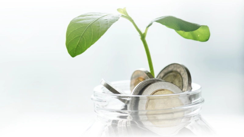 PROJECTS IN FOOD INDUSTRY: PERSPECTIVES AND PROBLEMS IN ATTRACTING INVESTMENTS TO OIC COUNTRIES