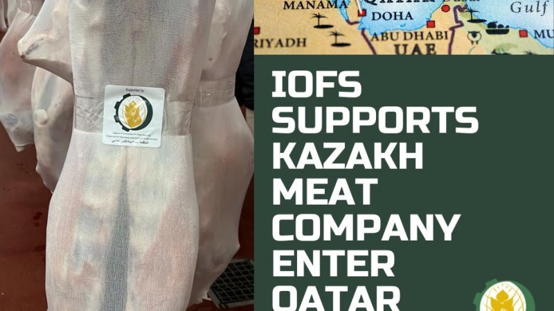 IOFS ASSISTS LEADING KAZAKHSTAN ORGANIC MEAT EXPORTER ENTER QATARI MARKET