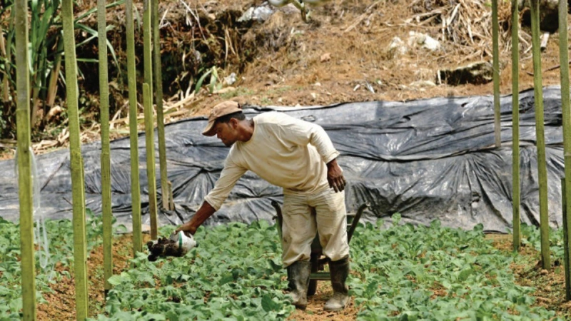 Rapport spécial : L'état de la nation : combler le fossé entre l'agriculture et la sécurité alimentaire (en anglais)