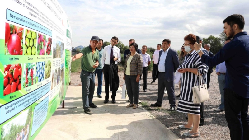 Second day of the training program within the Water Hub event