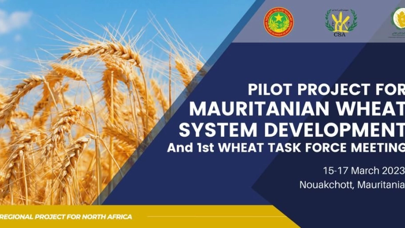 PILOT PROJECT FOR MAURITANIAN WHEAT SYSTEM DEVELOPMENT