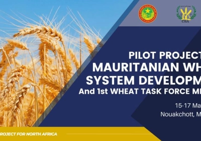 PILOT PROJECT FOR MAURITANIAN WHEAT SYSTEM DEVELOPMENT