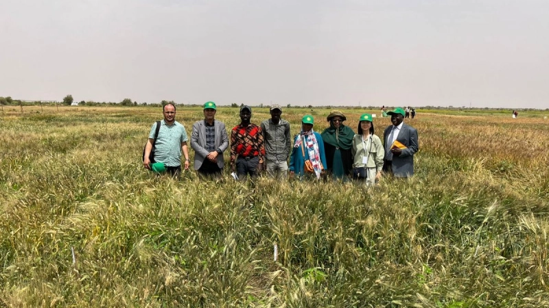 Wheat Task Force’s Mission in Mauritania Continues with Field Visit