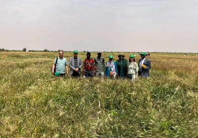 Wheat Task Force’s Mission in Mauritania Continues with Field Visit
