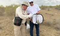 IOFS and FAO Strengthen Regional Cooperation to Enhance Locust and Grasshopper Identification Capacity in Central Asia